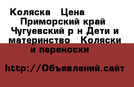 Коляска › Цена ­ 1 000 - Приморский край, Чугуевский р-н Дети и материнство » Коляски и переноски   